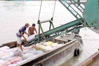 Khởi sắc thị trường lúa gạo