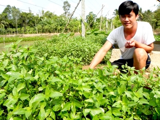 Nguyễn Trọng Ngọc - Tấm gương tận tụy vì công việc