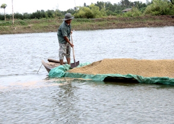 Người nuôi thủy sản chờ tín hiệu tích cực từ thị trường