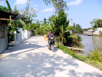 Nhân rộng tuyến đường xanh - sạch - đẹp