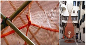 WarkaWater  “Bình hoa” bằng tre hứng nước từ không khí