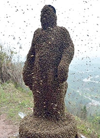 Tiếp thị kiểu 
"hành xác"