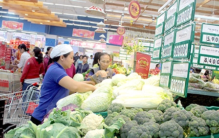 Cần sớm hoàn thiện thể chế, chính sách