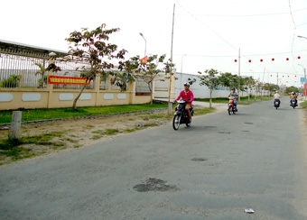 Phong Điền tiến đến huyện nông thôn mới!