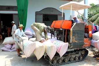 Giá lúa gạo giảm nhẹ