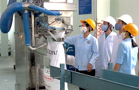 Cần Thơ nỗ lực hoàn thiện môi trường đầu tư, nâng cao năng lực cạnh tranh