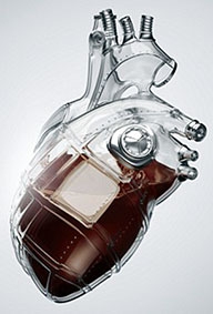 Máu nhân tạo sẽ được thử nghiệm ở người vào năm 2016