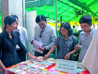 Nâng cao năng lực sản xuất giống lúa cho vùng đồng bằng sông Cửu Long