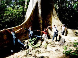 Khám phá rừng cây “khủng” 
ở Nam Cát Tiên