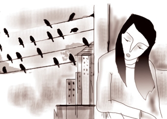 Bầy chim sẻ trong thành phố