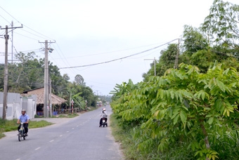 Hiểm họa giao thông từ dây điện giăng ngang đường