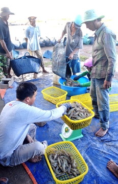 Không nên chạy theo số lượng