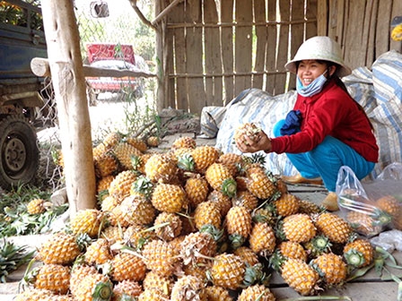 Khóm Bến Lức nức tiếng gần xa