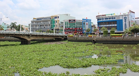 Tân An hướng đến thành phố văn minh