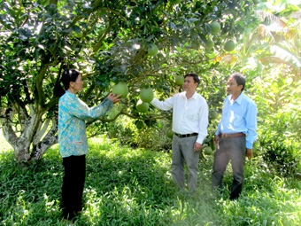 Quyết tâm khắc phục hạn chế,
xây dựng địa phương phát triển