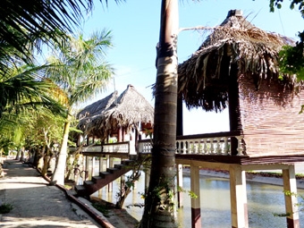 Thư giãn với Vườn Hàm Luông