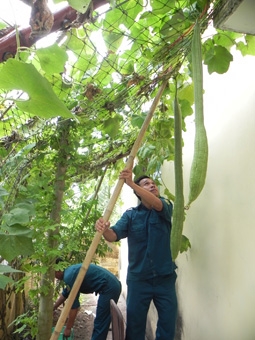 ĐẨY MẠNH THỰC HIỆN CHỈ THỊ 03 GẮN VỚI CÔNG TÁC QUỐC PHÒNG - QUÂN SỰ ĐỊA PHƯƠNG