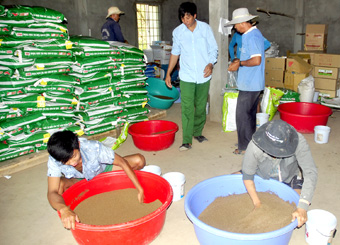 Hiểu rõ bất lợi để giảm thiểu rủi ro