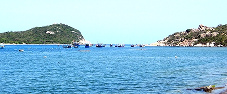 “Chân trên rừng, chân dưới biển”