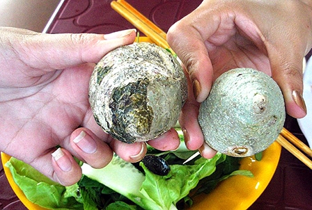 Món ngon từ ốc vú nàng