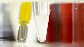 Phát triển loại gel hỗ trợ tái tạo xương