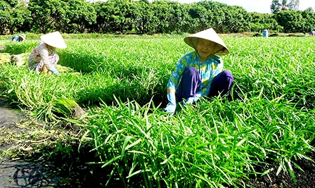 Nâng cao giá trị sản phẩm 
bằng thương hiệu