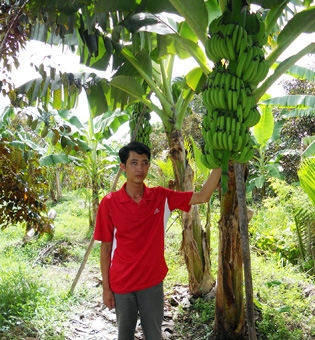 Làm giàu từ mô hình xen canh