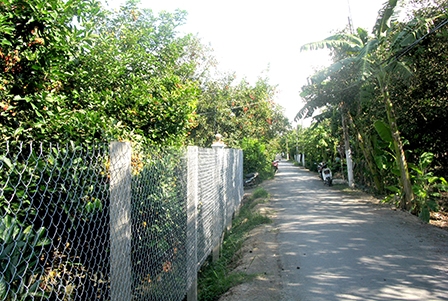 Tân Phú rộn ràng
ngày Tết Đoan Ngọ