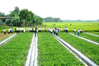 Giải pháp sử dụng nước sản xuất nông nghiệp hiệu quả, thích ứng biến đổi khí hậu