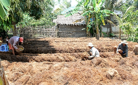 Cần nhiều giải pháp đồng bộ