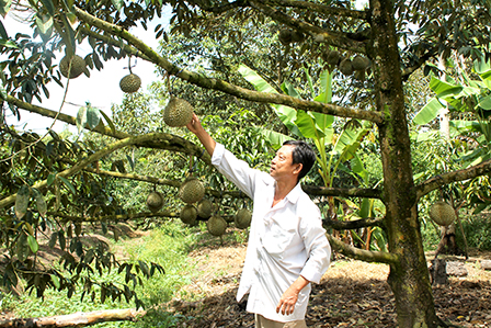 Tập trung phát triển
kinh tế hộ gia đình