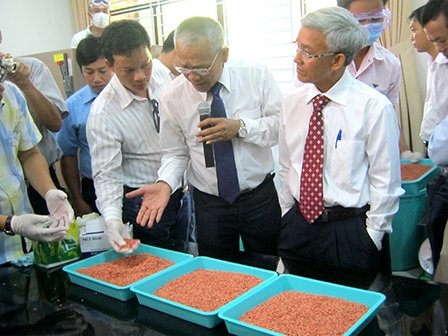 Chú trọng khâu xử lý giống 
cho vụ mùa bội thu