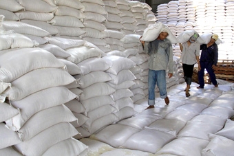 Hạt gạo Việt - gian nan tìm thị trường
