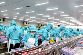 Nỗ lực hoàn thành chỉ tiêu 
kinh tế xã hội năm 2014