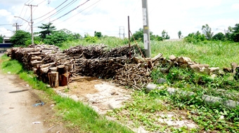 SỚM ĐẦU TƯ HỆ THỐNG ĐÈN CHIẾU SÁNG KHU TÁI ĐỊNH CƯ 923