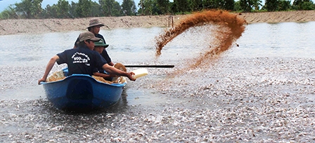 Bài học về 
dự báo thị trường