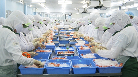 Xúc tiến xây dựng nhà ở công nhân