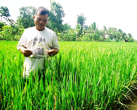 Kiên trì học hỏi để giúp mình, giúp người