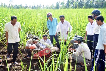 CÂY MÍA CÓ TIẾP TỤC Ở LẠI CÙNG NÔNG DÂN CÙ LAO DUNG?
