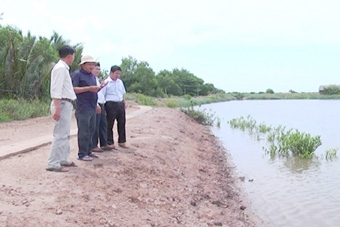 Triển vọng mô hình nuôi tôm quảng canh cải tiến