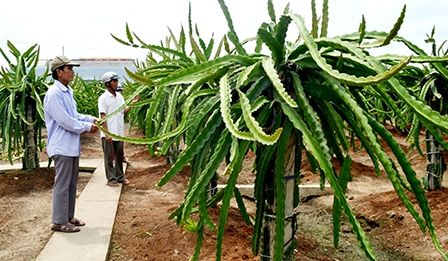 Đồng lòng xây dựng “tam nông”!