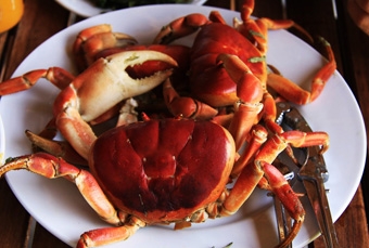 Cua đá xứ cù lao