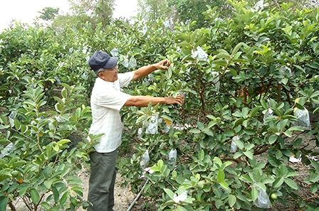 Đồng lòng xây dựng “tam nông”!