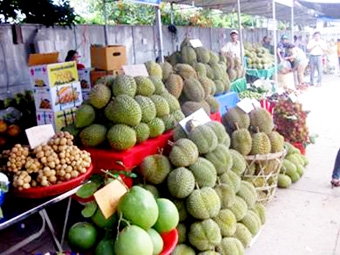 Trái cây miền Tây vào mùa