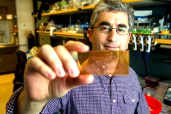 Xét nghiệm nhanh bệnh 
tiểu đường típ 1 bằng vi mạch nano