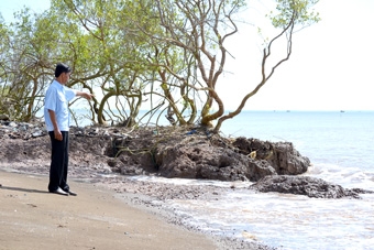 Rừng phòng hộ Tiền Giang kêu cứu !