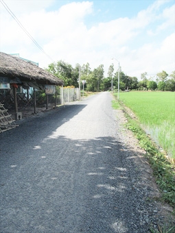 Giao thông nông thôn 
khởi sắc