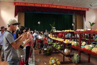 Đi Nghinh Ông Bình Đại nhớ Ngày Hội trái ngon Chợ Lách