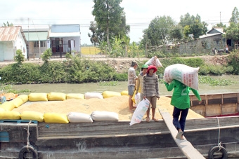 Yêu cầu cấp thiết