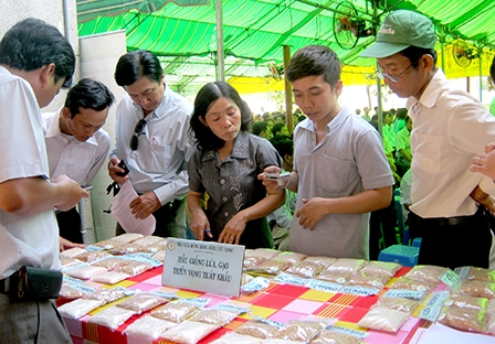 Tăng khả năng cạnh tranh 
cho các cánh đồng lớn